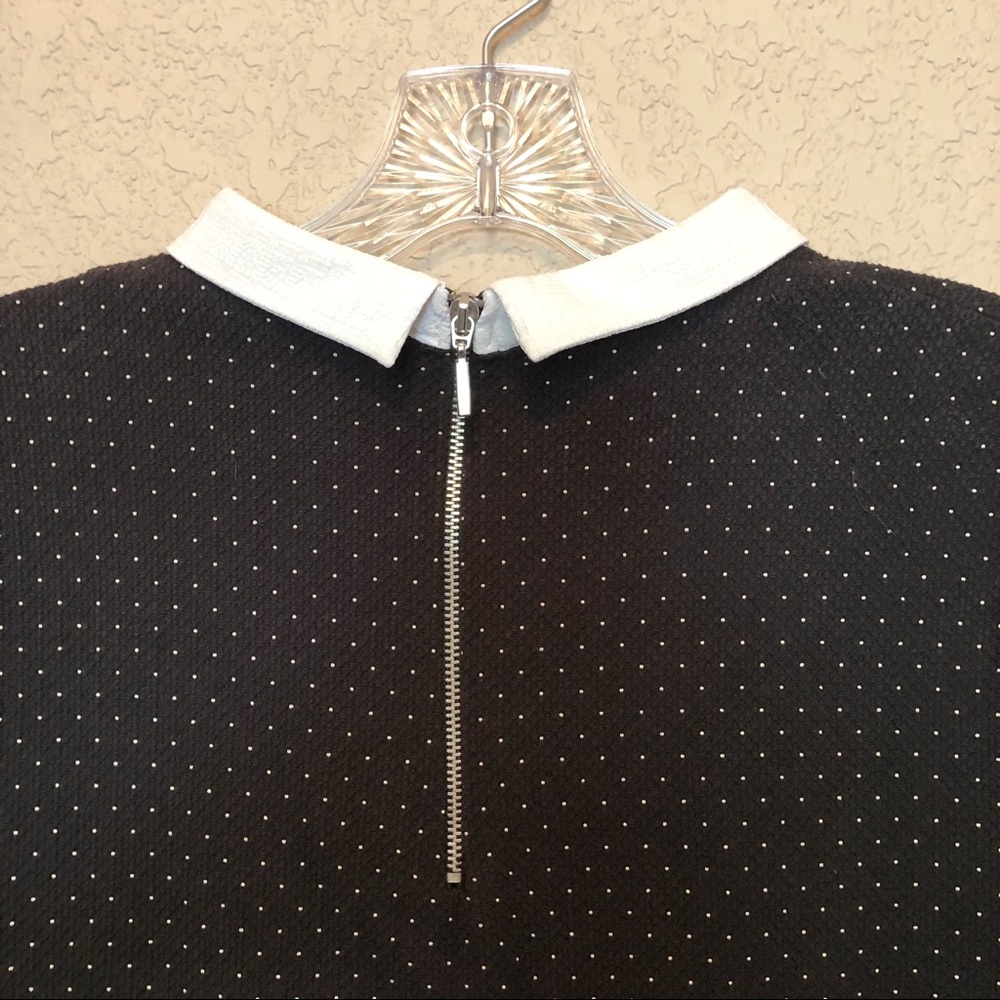 ZARA Black Polka Dot Collared Dress